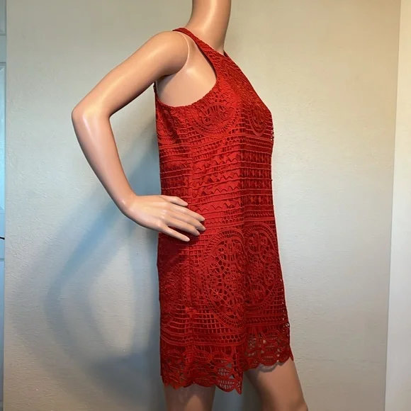 Lovers and Friends Caspian Red Lace Shift Dress - Picture 6 of 11